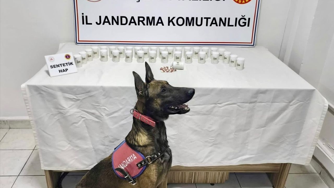 Kırşehir'de Uyuşturucu Operasyonu: 2 Tutuklama