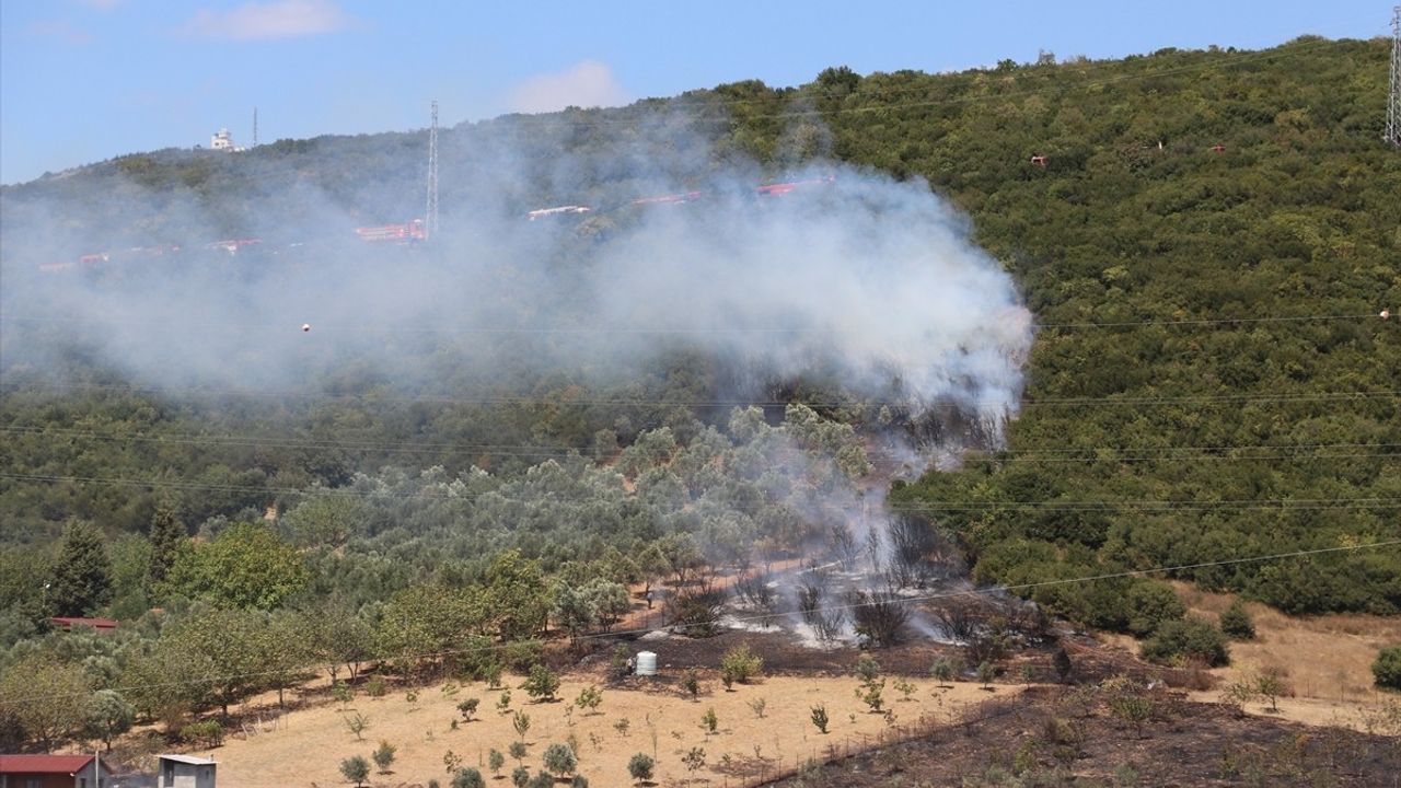 Kocaeli'de Ağaçlık Alandaki Yangın Kontrol Altına Alındı
