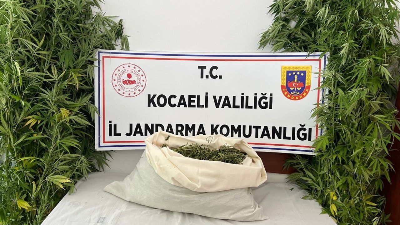 Kocaeli'de Uyuşturucu Operasyonu: 2 Tutuklama