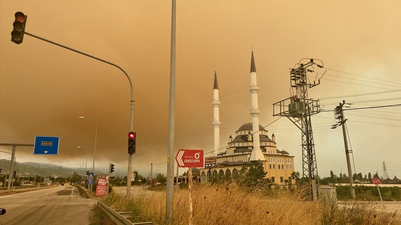 Kocaeli Orman Yangını Bursa'ya Duman Yayıyor