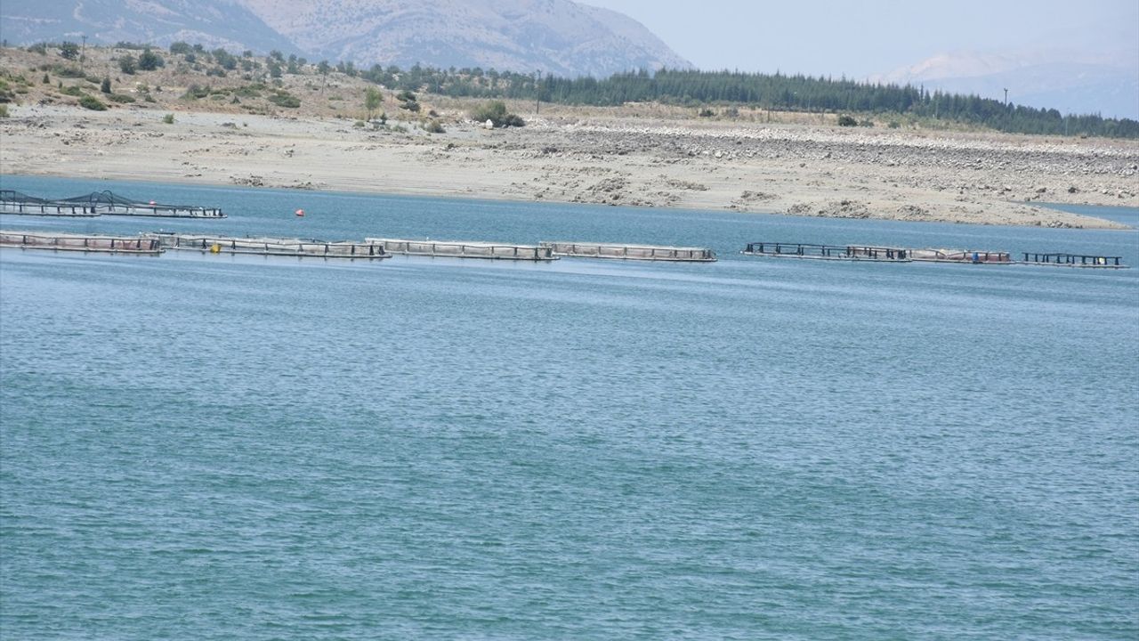 Malatya'da Alabalık Üretimi Artıyor