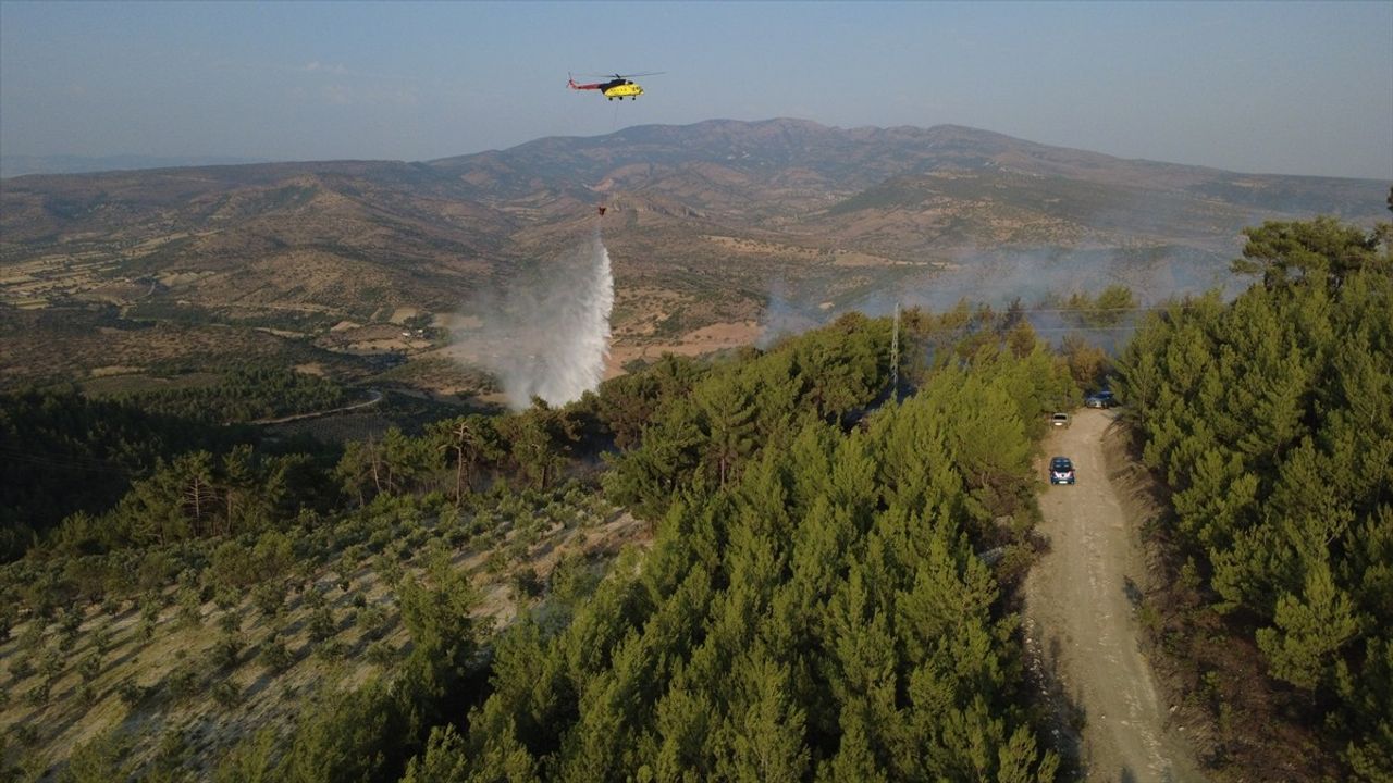 Manisa'da Orman Yangını Kontrol Altına Alındı