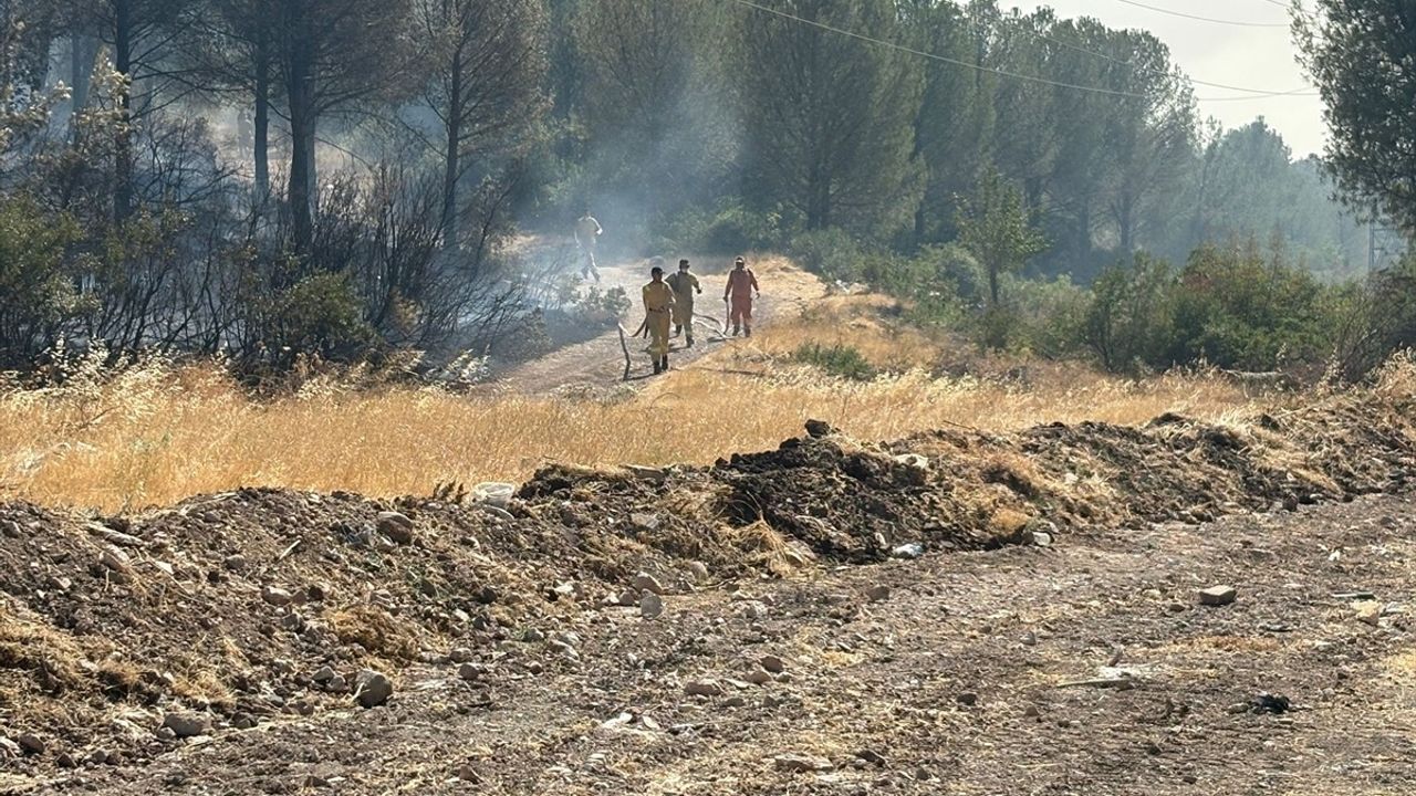 Manisa'da Orman Yangınlarına Müdahale Devam Ediyor