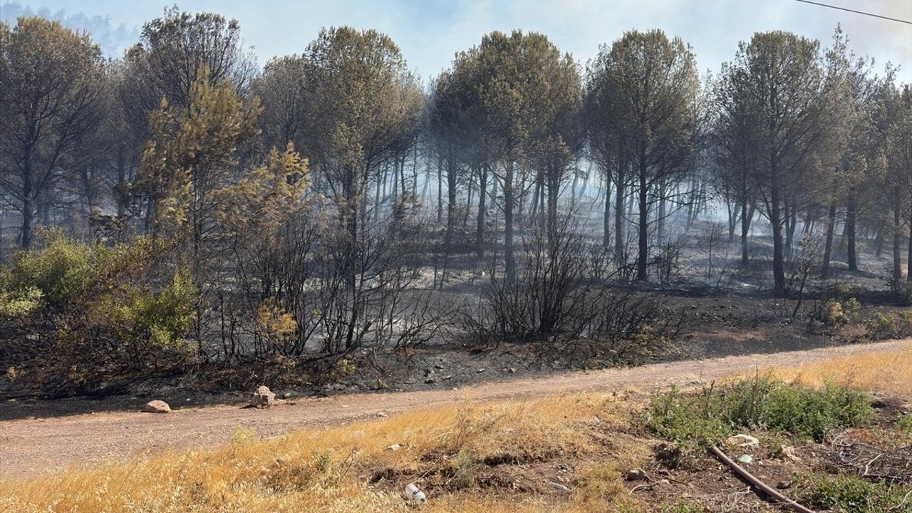 Manisa Soma'daki Orman Yangınına Müdahale Devam Ediyor