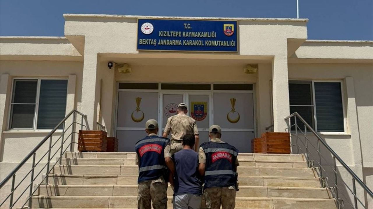 Mardin'de Hayvan Kısırlaştırma Paylaşımı Nedeniyle Gözaltı