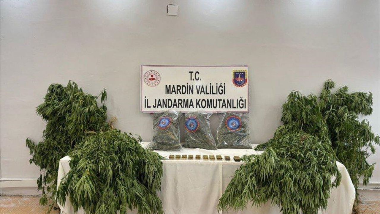 Mardin'de Uyuşturucu Operasyonu: 4 Kilo Esrar Ele Geçirildi
