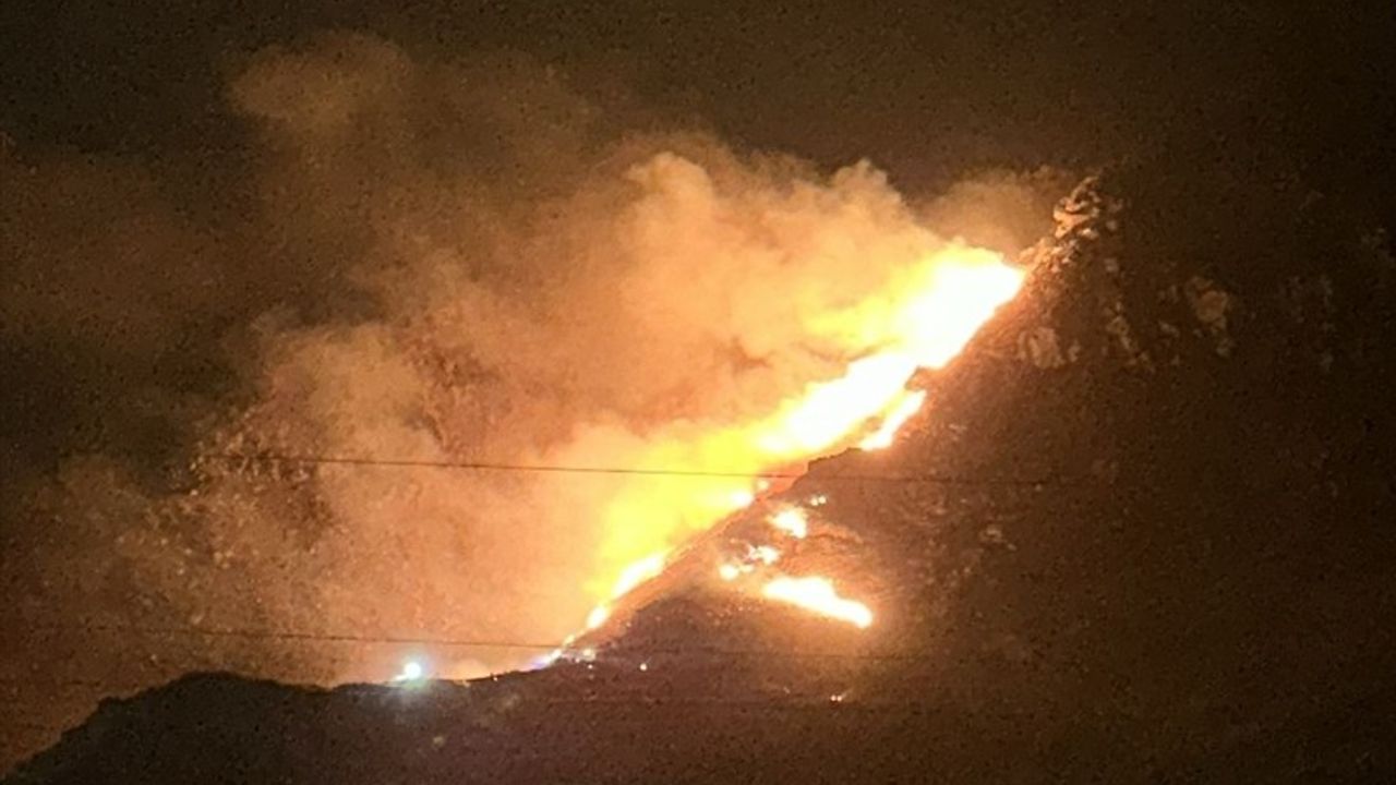 Marmara Adası'ndaki Orman Yangını Kontrol Altında
