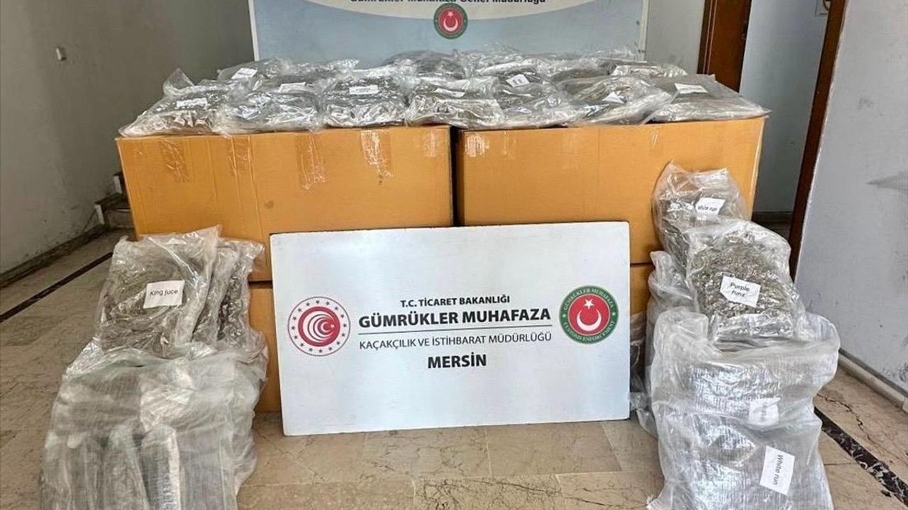 Mersin Limanı'nda 587 Kilogram Esrar Yakalandı