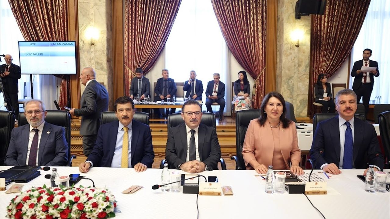 Milli Dayanışma, Kardeşlik ve Demokrasi Komisyonu'nun 7. Toplantısı