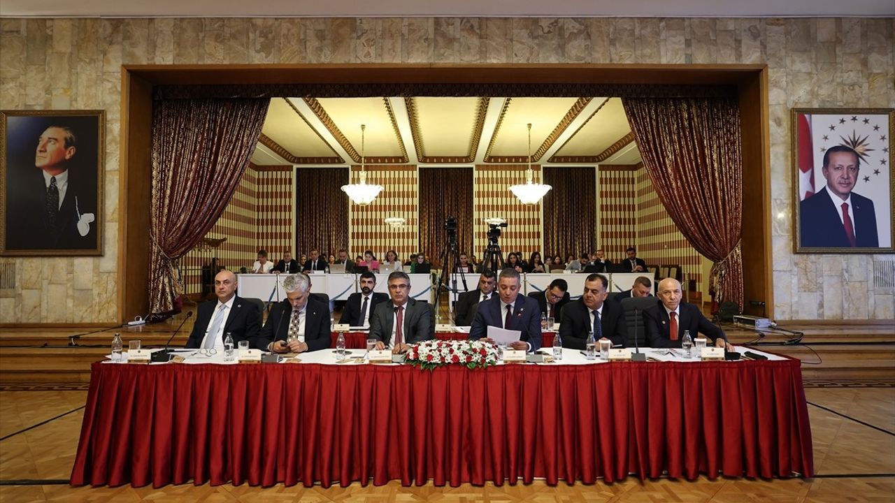 Milli Dayanışma, Kardeşlik ve Demokrasi Komisyonu Toplantısı