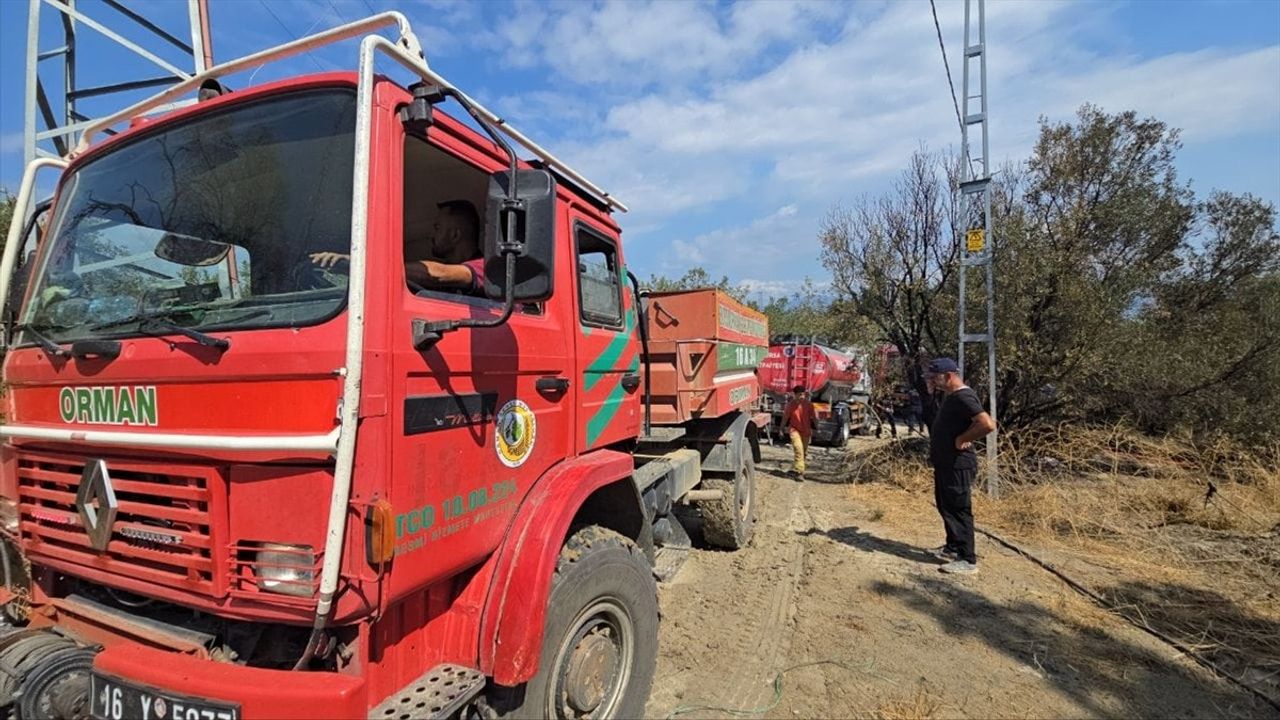 Mudanya'daki Orman Yangını Kontrol Altına Alındı