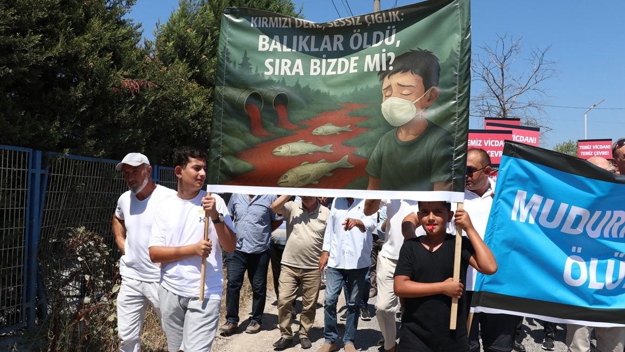 Mudurnu Çayı'ndaki Kirlilik Sorunu: Firmanın Faaliyetleri Durduruldu