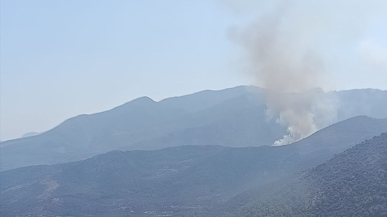 Muğla Seydikemer'de Orman Yangını Çıktı