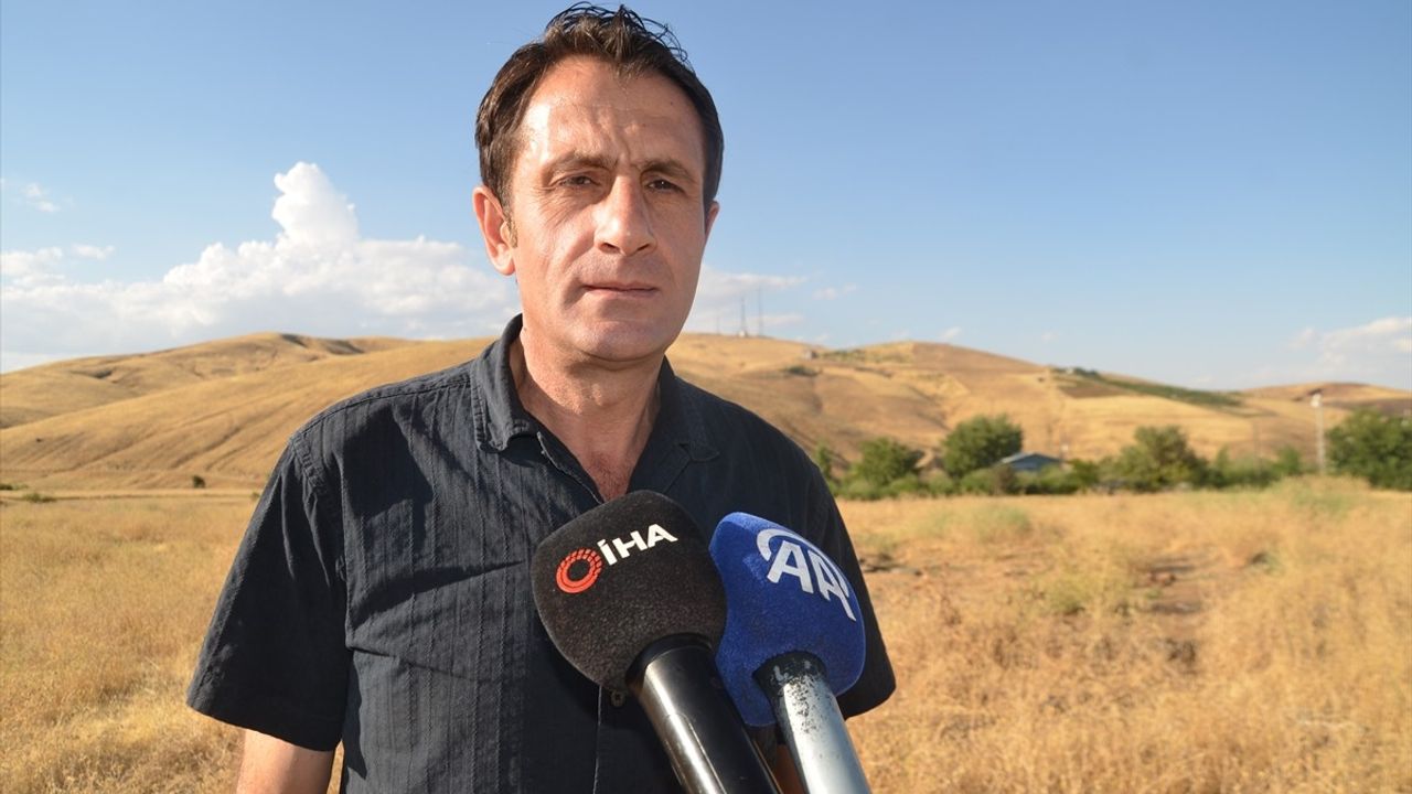 Muş Ovası'nda Leyleklerin Göç Hazırlıkları