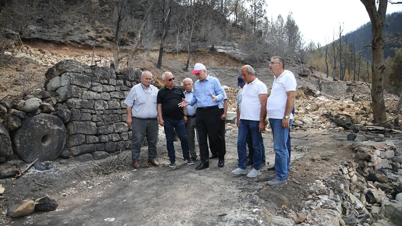 Orman Yangınları ve Koruma Stratejileri