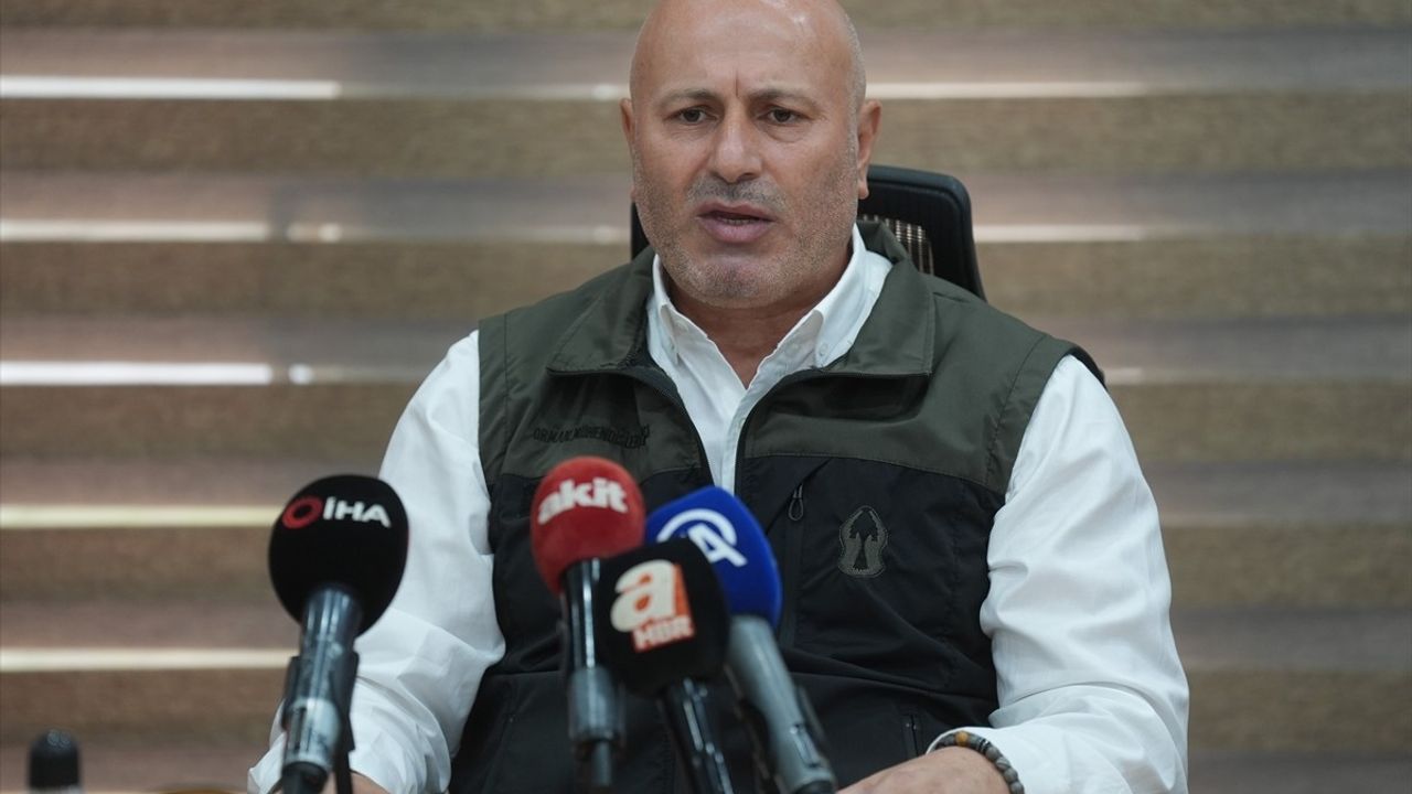 Orman Yangınlarına Karşı Farkındalık: 'Yeşil Vatan' Dersi Zorunlu Olmalı