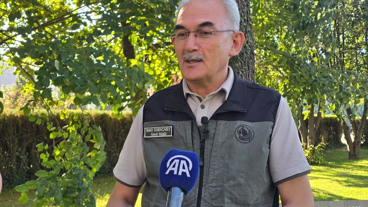 Orman Yangınlarıyla Mücadelede Farkındalık ve Sorumluluk