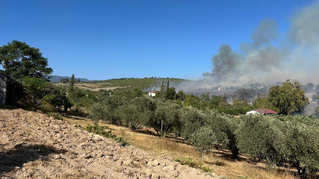 Osmaniye'deki Zeytinlik Yangınına Hızlı Müdahale