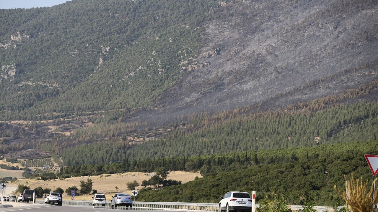 Pamukkale Orman Yangını Kontrol Altına Alındı