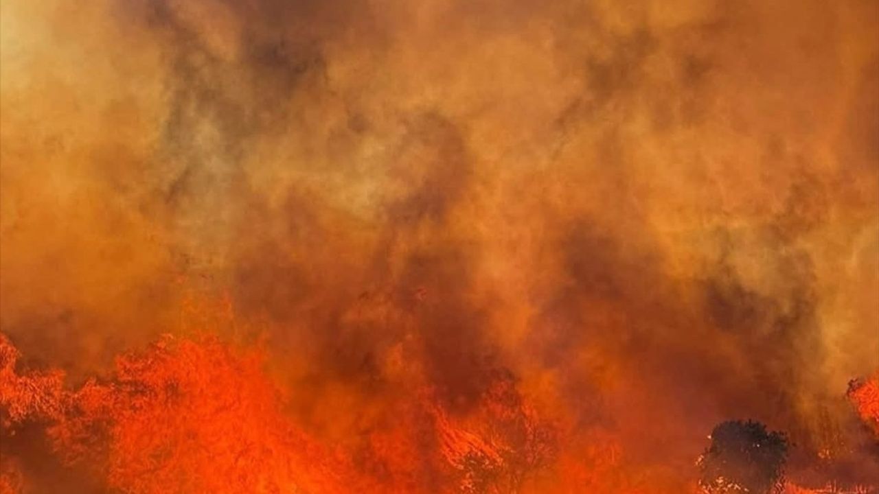 Paşalimanı Adası'ndaki Orman Yangınına Müdahale Devam Ediyor