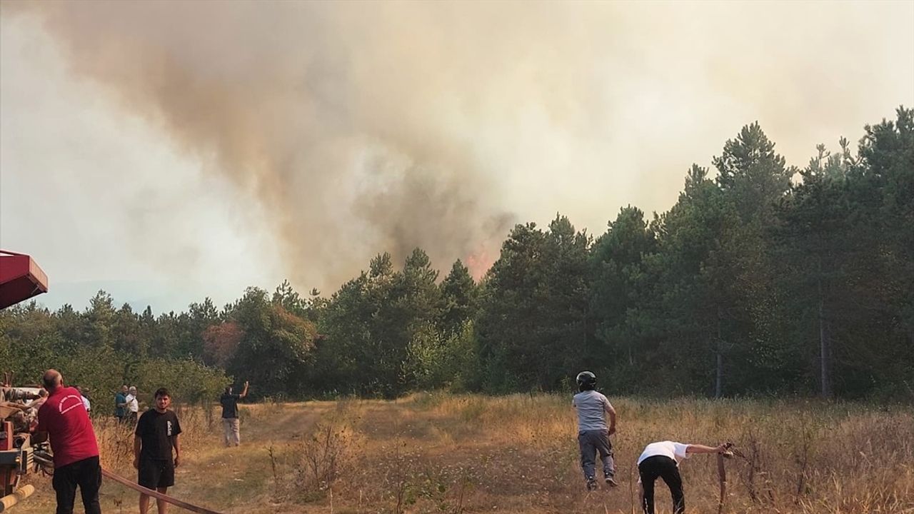 Sakarya'da Orman Yangını Kontrol Altına Alındı