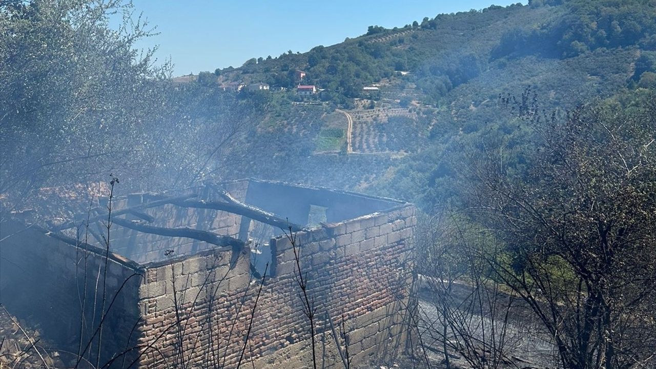 Samsun'daki Fındık Bahçesi Yangını Kontrol Altına Alındı