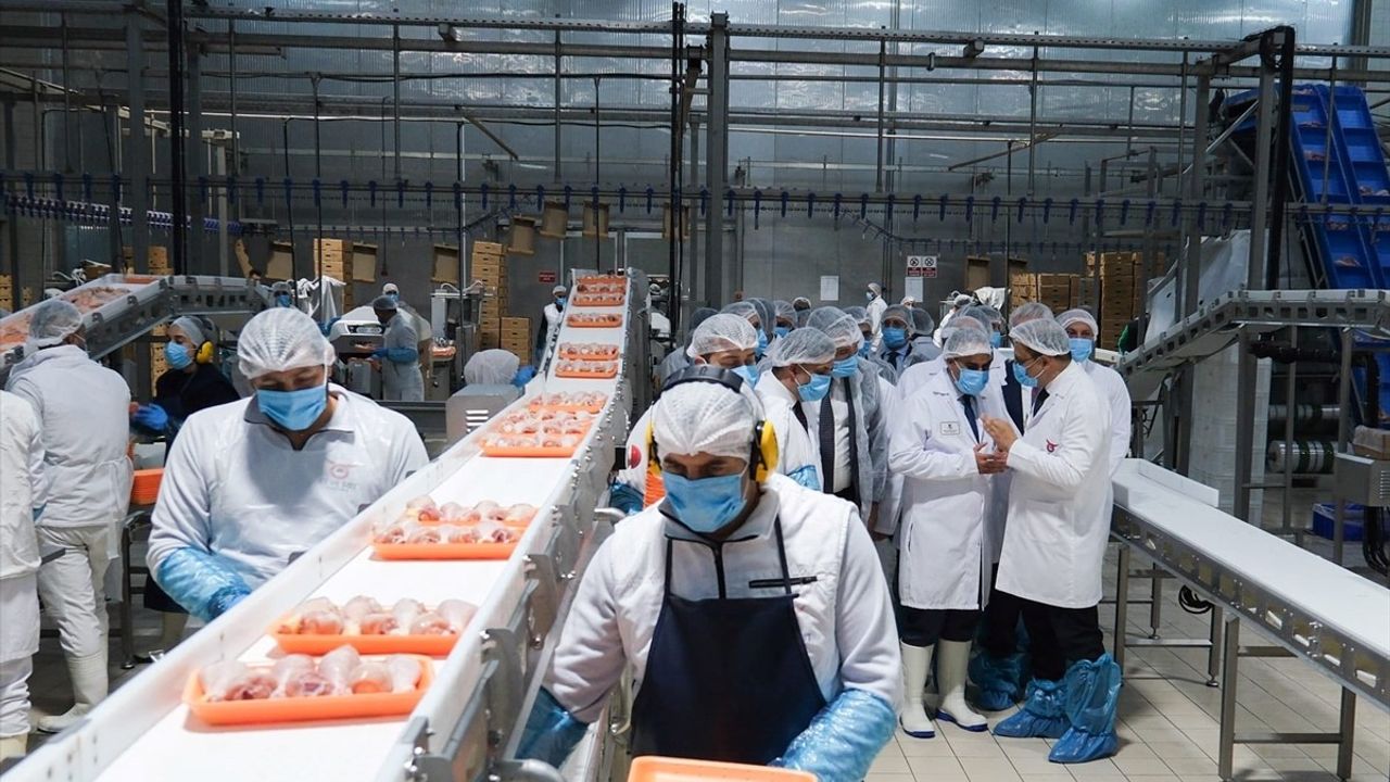Sanayi ve Teknoloji Bakanı Kacır Erzincan Tavuk Kombinası'nı Ziyaret Etti