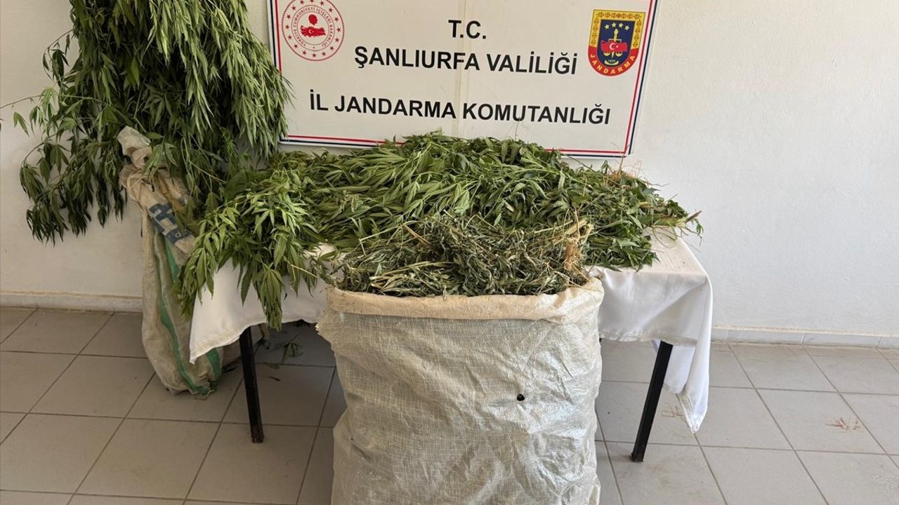 Şanlıurfa'da Uyuşturucu Operasyonu: 3 Gözaltı