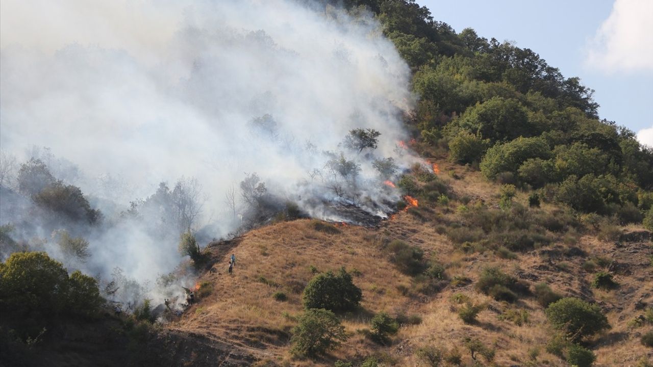 Şarköy'de Orman Yangınına Müdahale Devam Ediyor