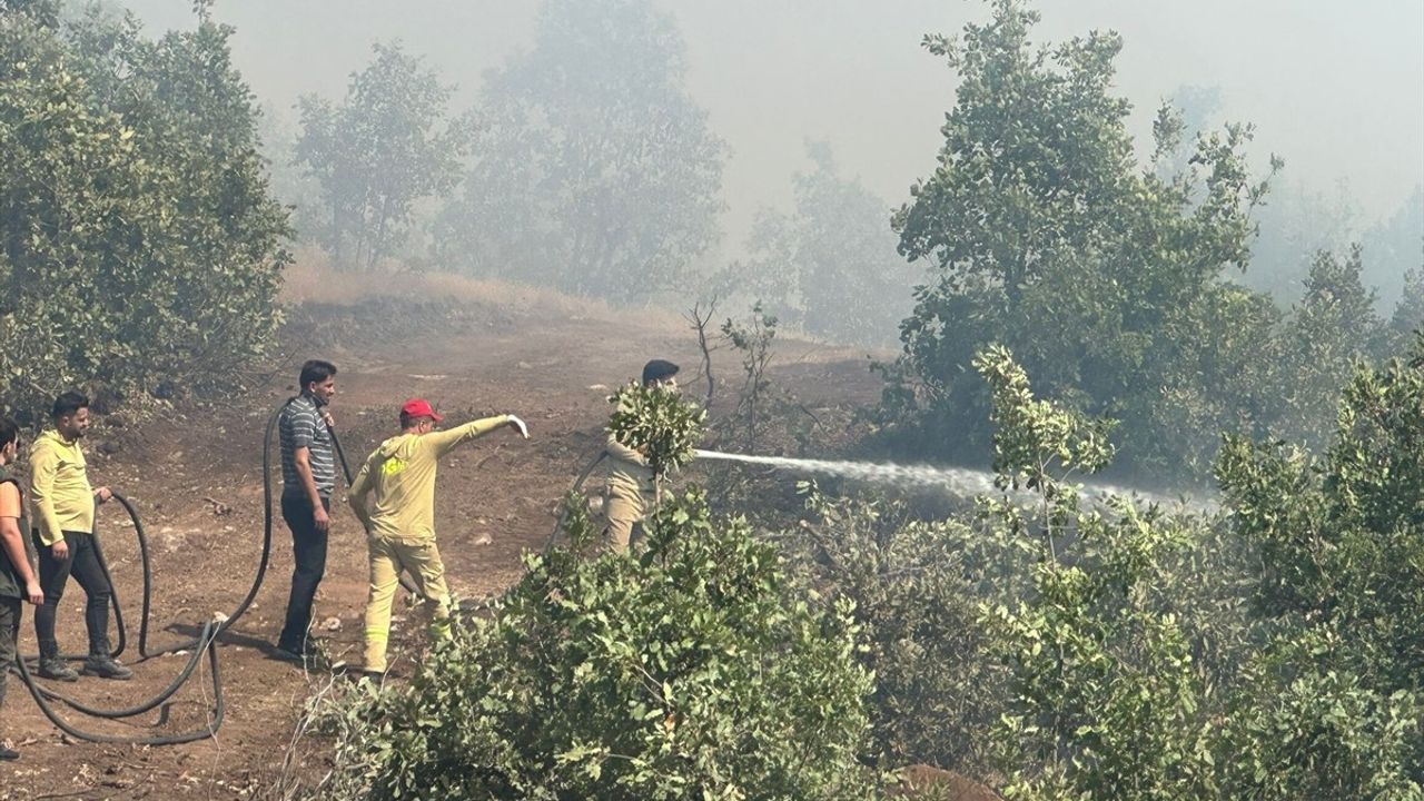 Şırnak'ta Orman Yangını Kontrol Altına Alındı