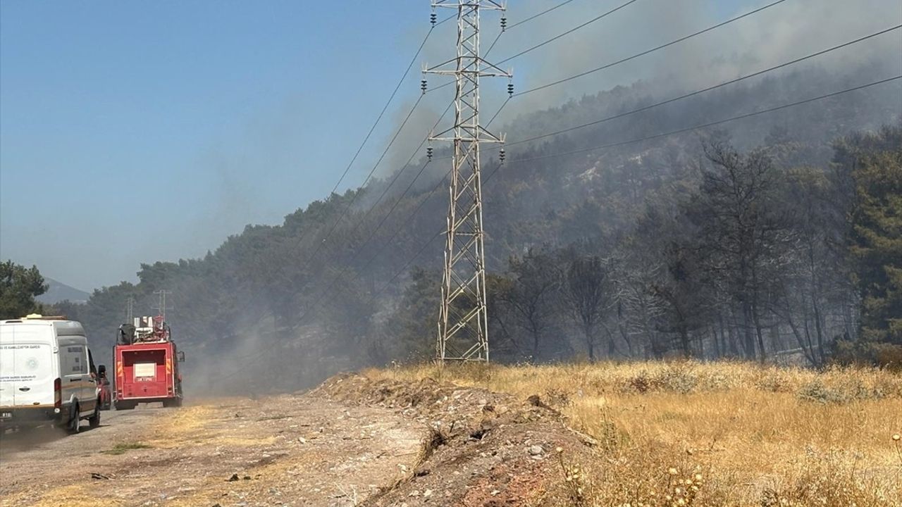 Soma'da Orman Yangınına Hızla Müdahale Ediliyor
