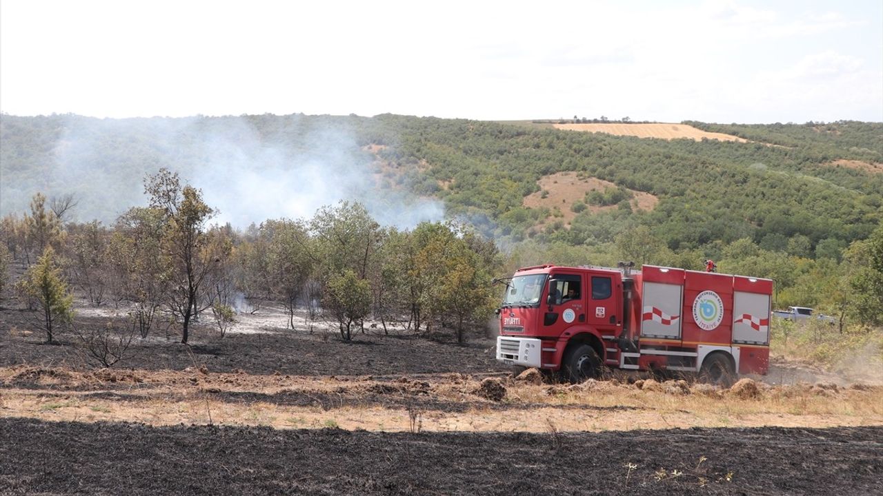 Tekirdağ'da Anız Yangını Ormana Sıçradı