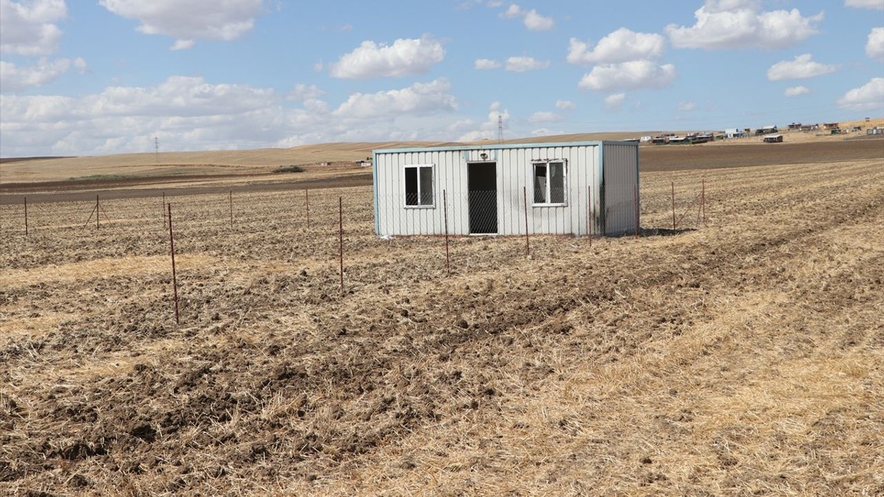 Tekirdağ'da Çiftçiler Konteyner Evler İçin Tepki Gösterdi