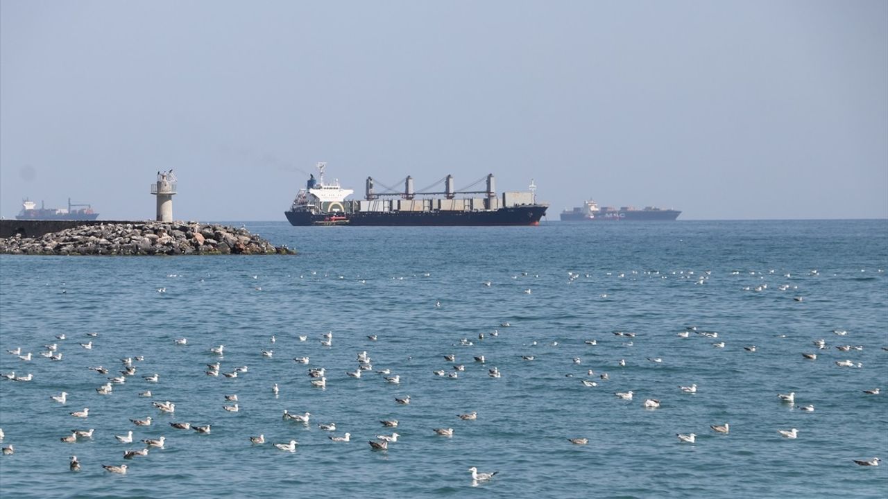 Tekirdağ'da Deniz Ulaşımı Rahatladığı Bilgilendirildi