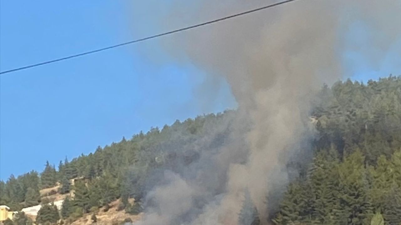 Tokat'ta Orman Yangını Mücadelesi Başladı