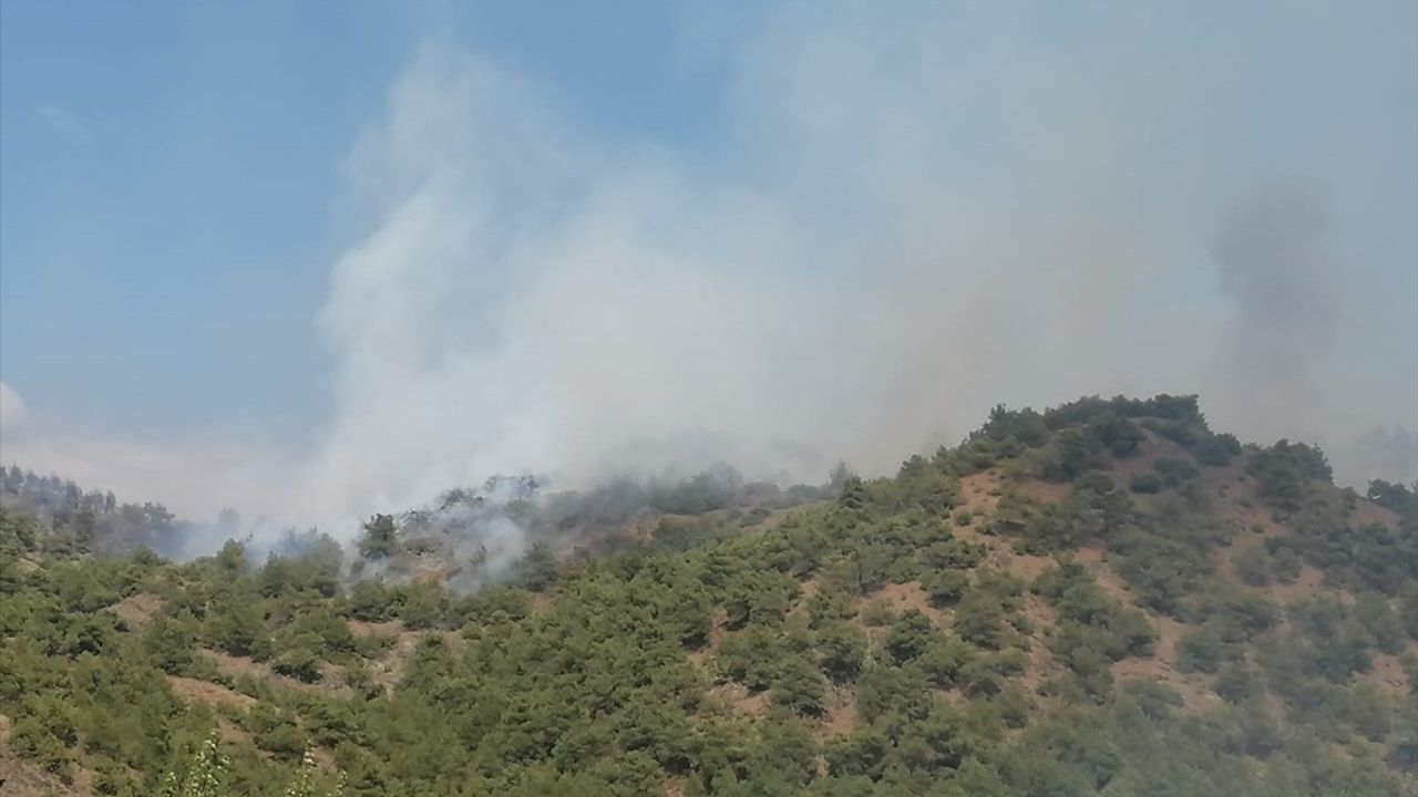 Tokat'ta Orman Yangınına Müdahale