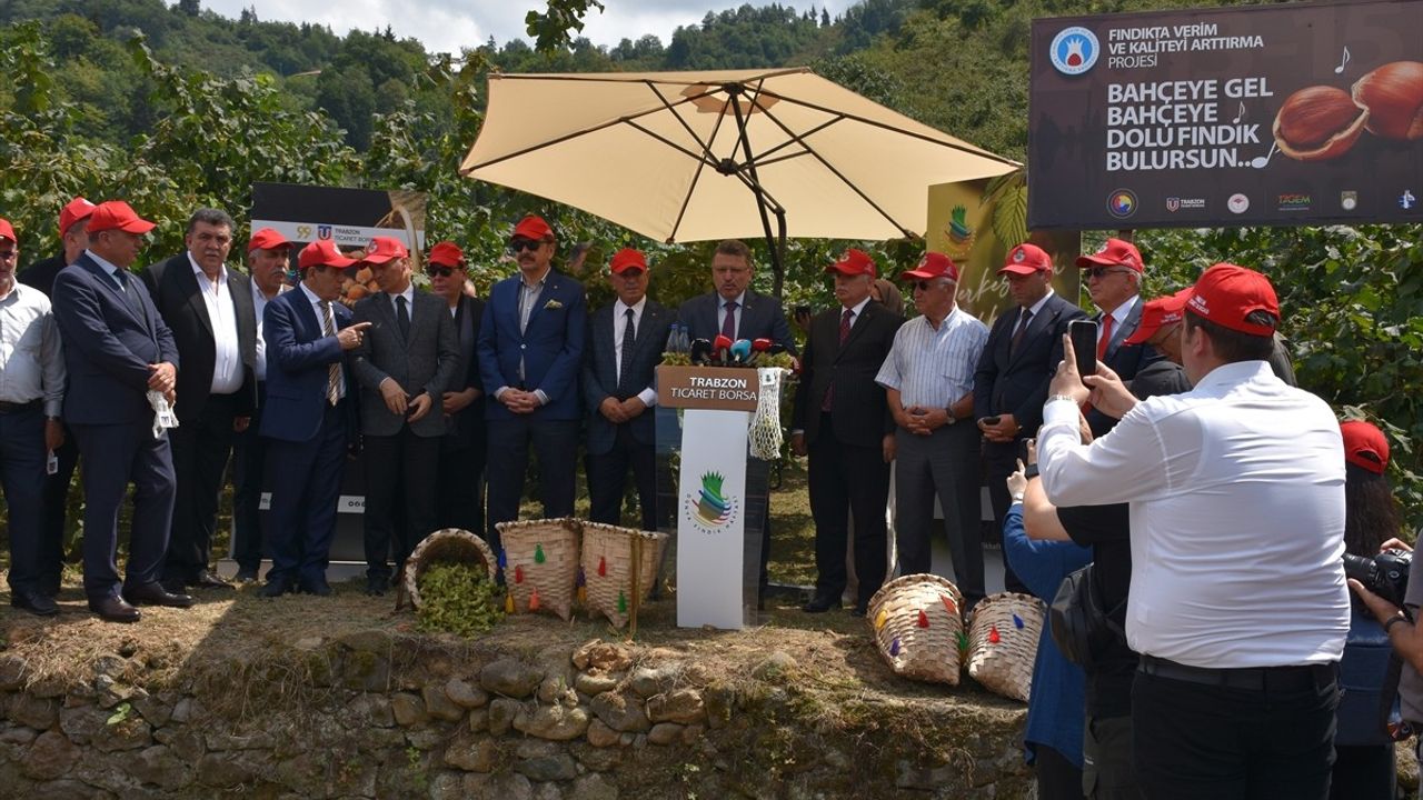 Trabzon'da Fındık Hasat Şenliği Coşkusu
