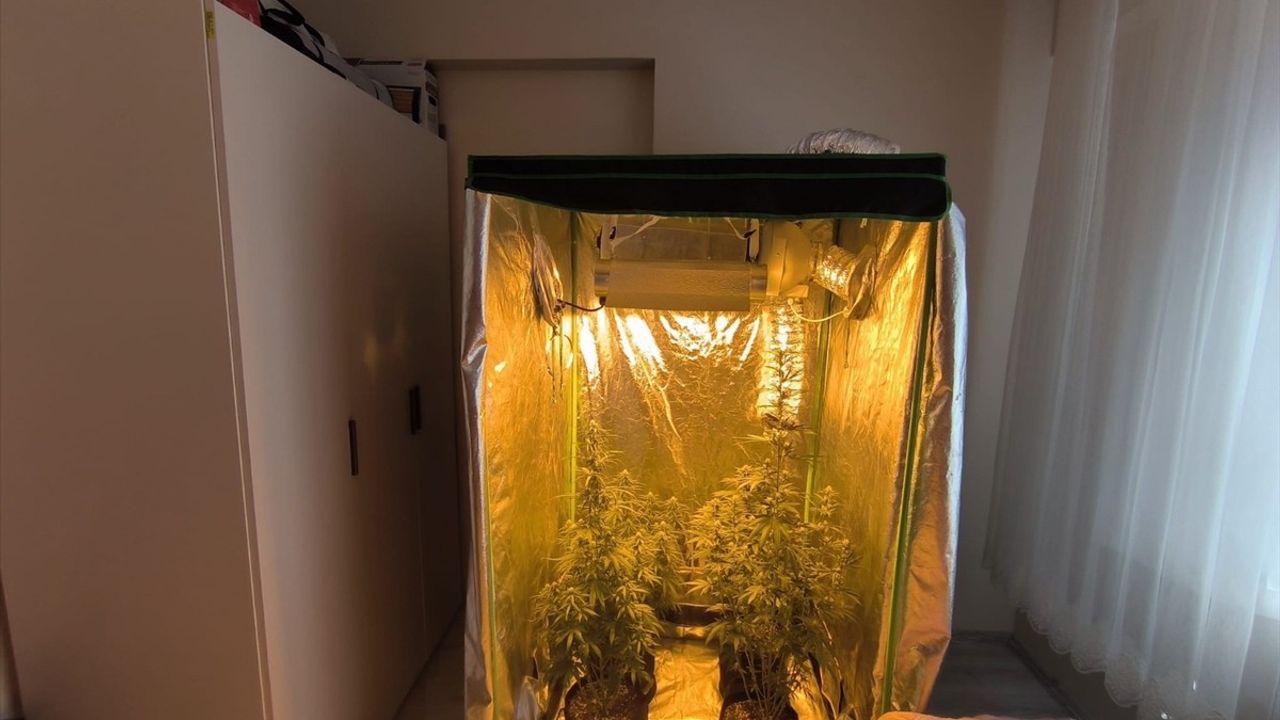 Tunceli'de Uyuşturucu Operasyonu: 14 Gözaltı