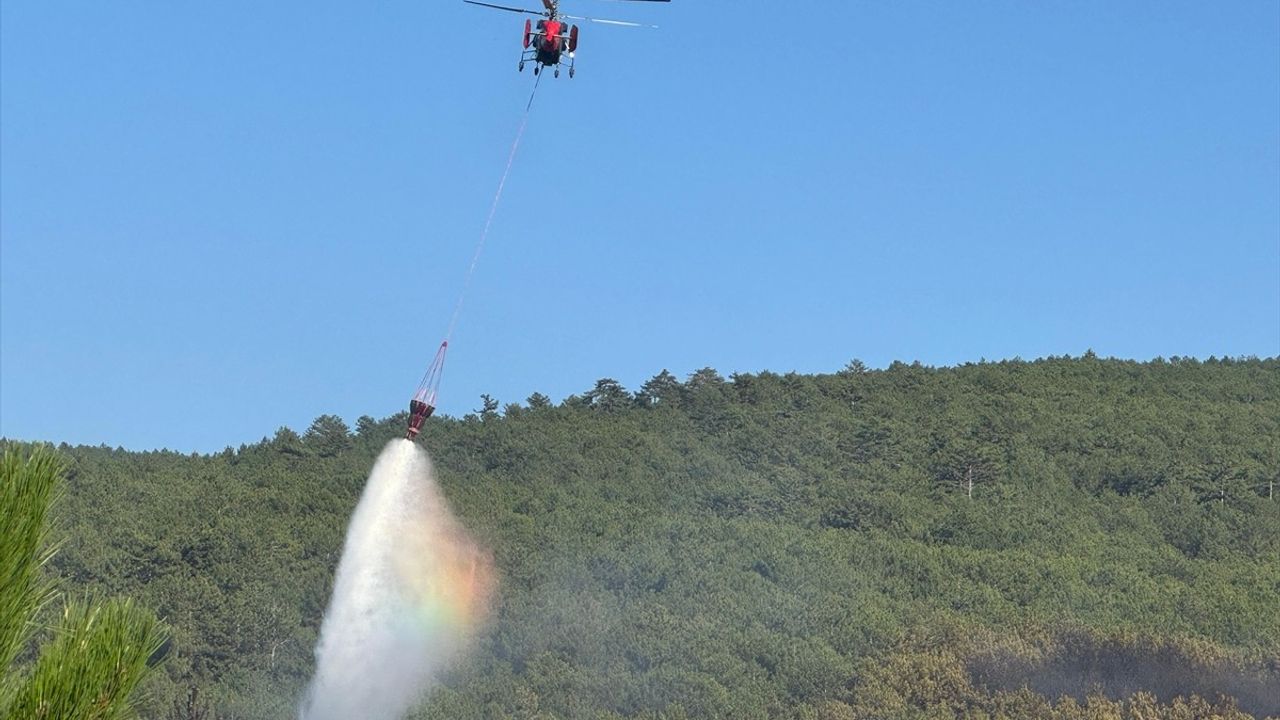 Uşak'ta Orman Yangınına Havadan ve Karadan Müdahale