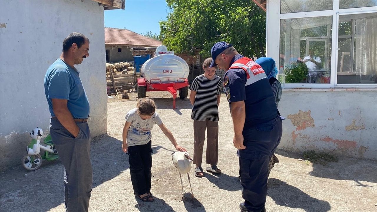 Yozgat'ta Leylek Bakımında Örnek Davranış