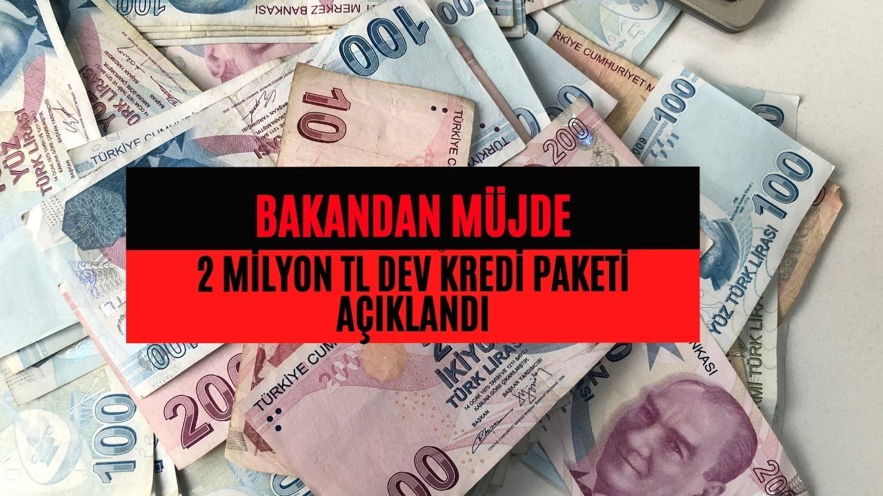 2 Milyon TL dev Kredi Paketi Açıklandı! Geri Ödemesi 3 Yıl Sonra Başlayacak