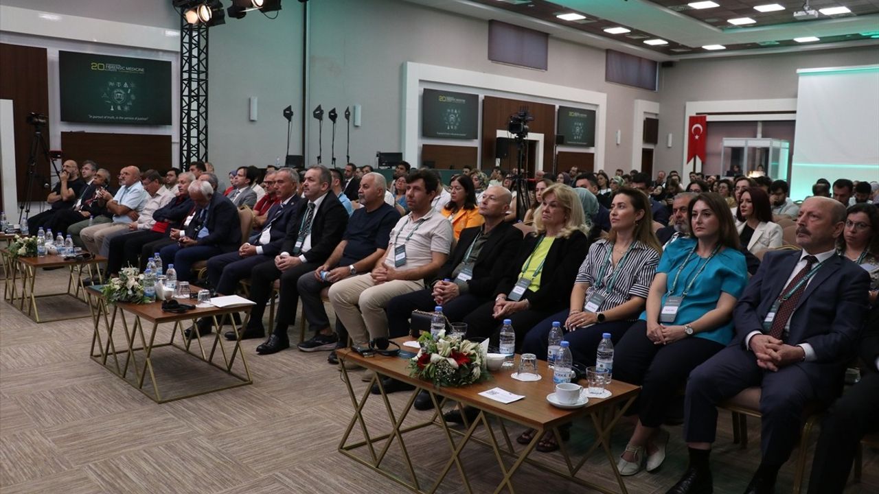ABD'li Uzmanlardan Sigorta Dolandırıcılığı Uyarısı
