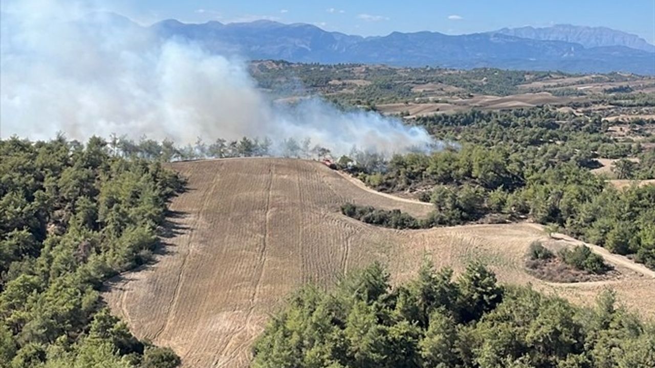 Adana'da Orman Yangını Kontrol Altına Alındı
