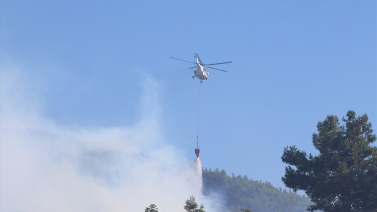 Alanya'daki Orman Yangınına Hızla Müdahale Ediliyor