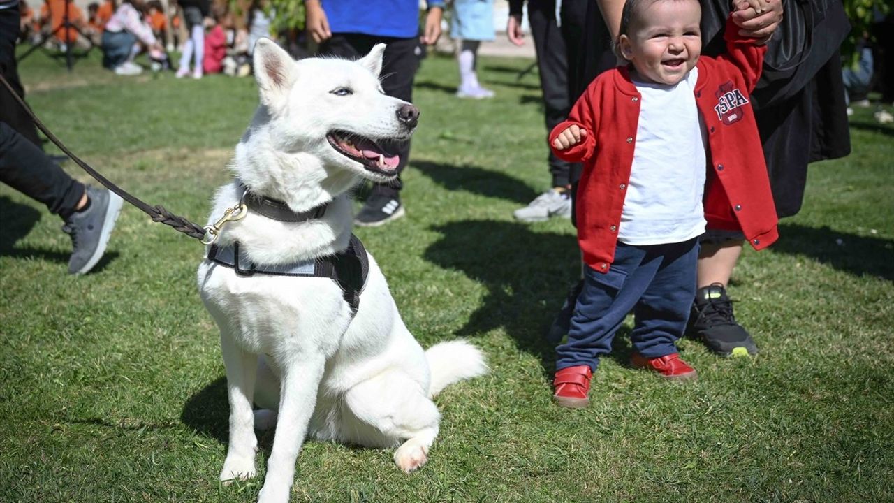 Ankara Kültür Yolu Festivali'nde Çocuklara Özel Etkinlik
