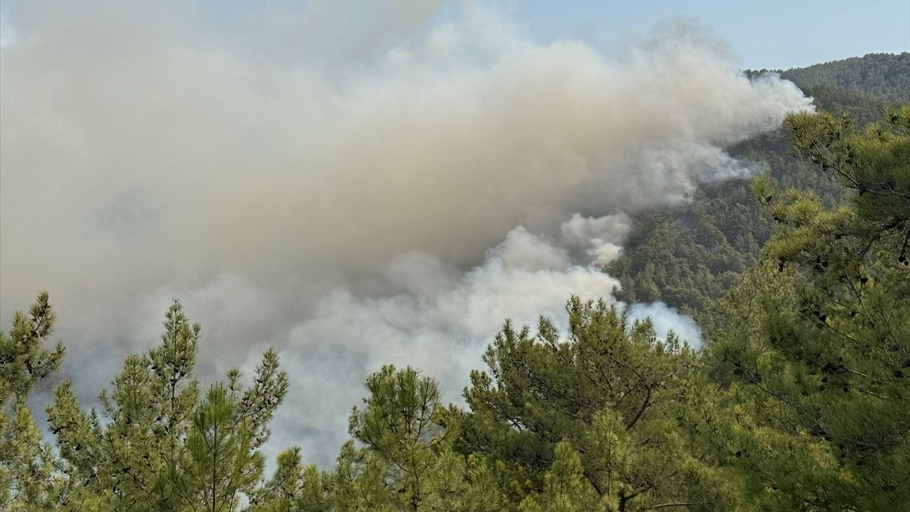 Antalya Alanya'da Orman Yangınlarına Müdahale Devam Ediyor
