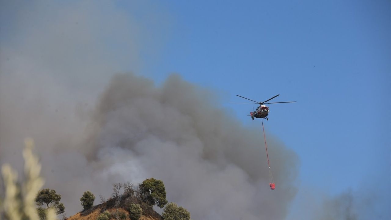 Aydın'da Zeytinlik ve Ormanlık Alan Yangınına Müdahale