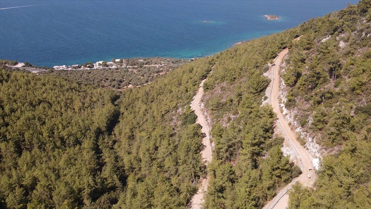 Bodrum'da Ata Mesleği Arıcılık: Baba-Oğul İşbirliği