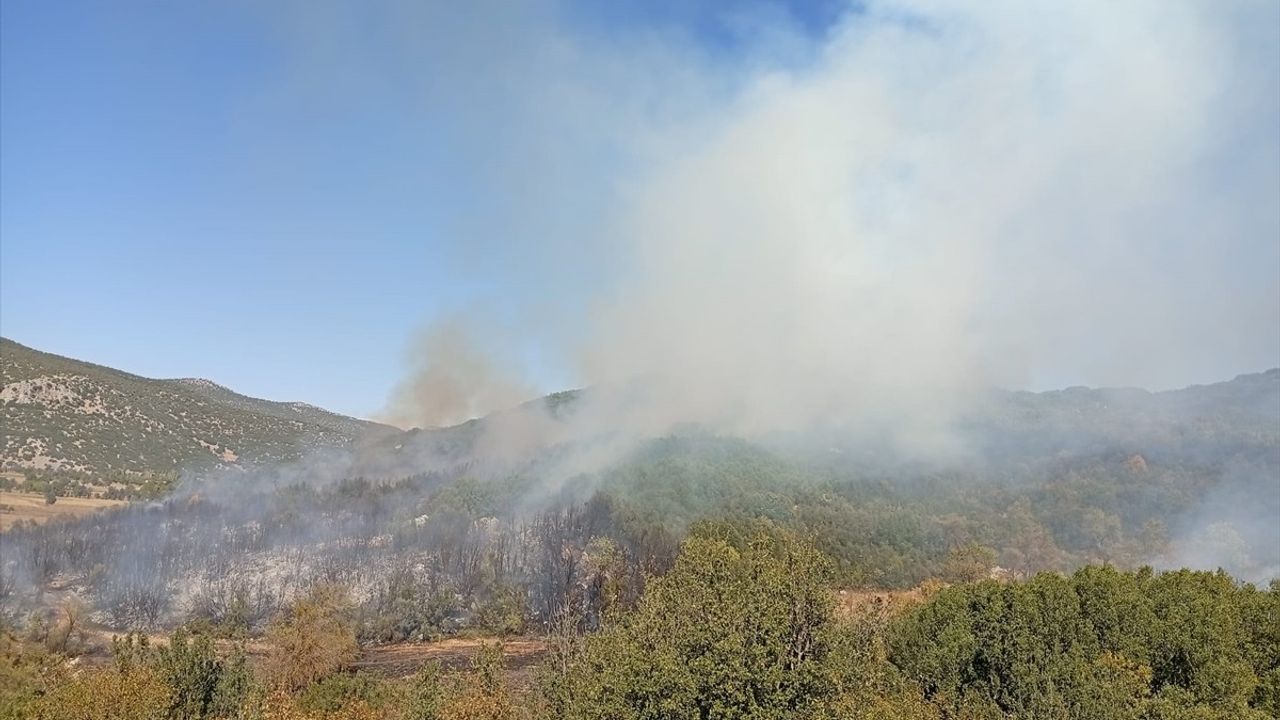 Burdur'da Orman Yangınına Müdahale Başlatıldı
