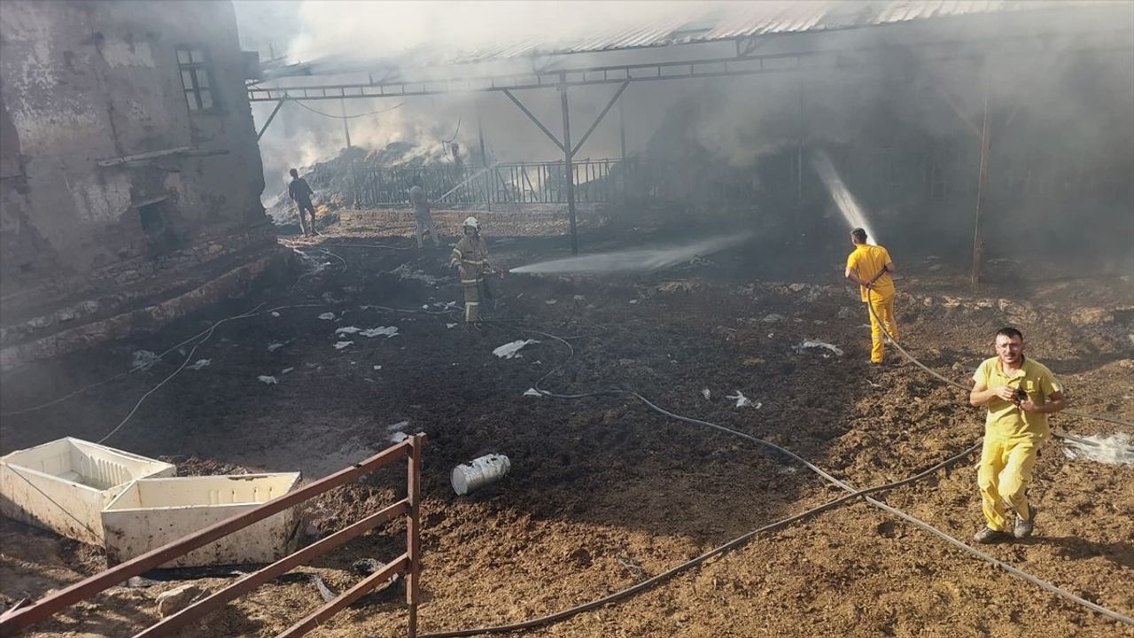 Burdur'da Yangın: Hayvanlar ve Saman Yanarak Telef Oldu
